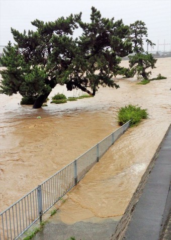 屋根、外壁にとどまらない洪水被害