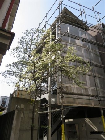 植栽と貯水タンクを避ける足場工事は時間がかかる
