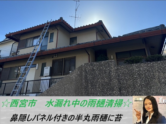 西宮市 半丸雨樋を無料調査!鼻隠しパネル付きの雨樋に溜まった苔