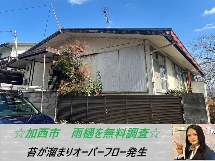 加西市 雨樋に苔溜まり発生!応急処置の流れをご紹介