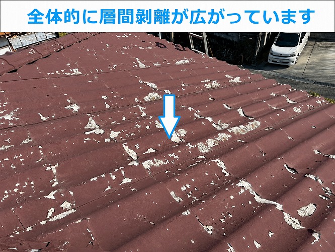 全体的に層間剝離している様子