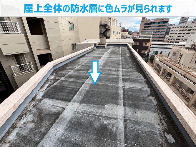 色褪せたゴムシート防水