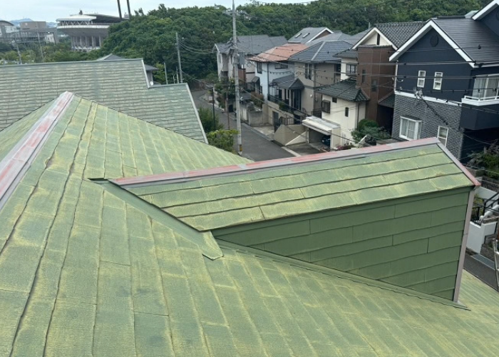 芦屋市　鳩小屋付きの屋根カバー工法でスーパーガルテクトを使用する前の様子