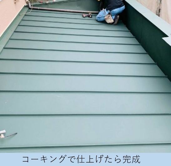 屋根を掃除している様子