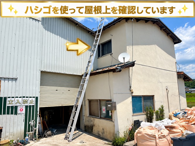 ハシゴで屋根に上っている様子