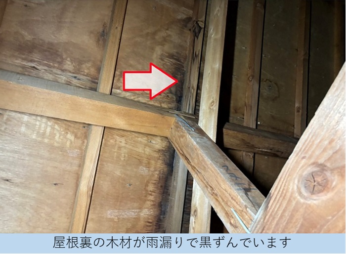 西宮市で雨漏り原因となっている鳩小屋から雨漏りしている様子