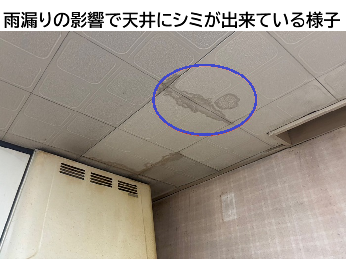 雨漏りで天井にシミが出来ている様子