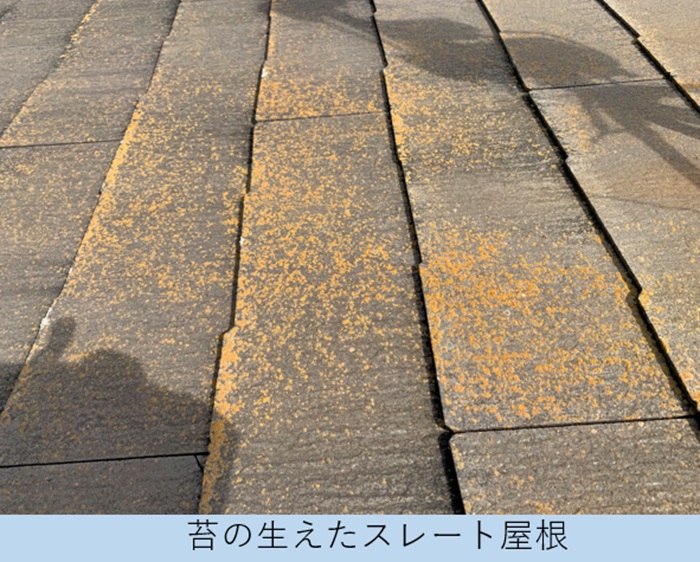 スレート屋根の棟板金を調査