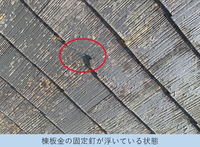 棟板金の固定釘が錆びて浮いています