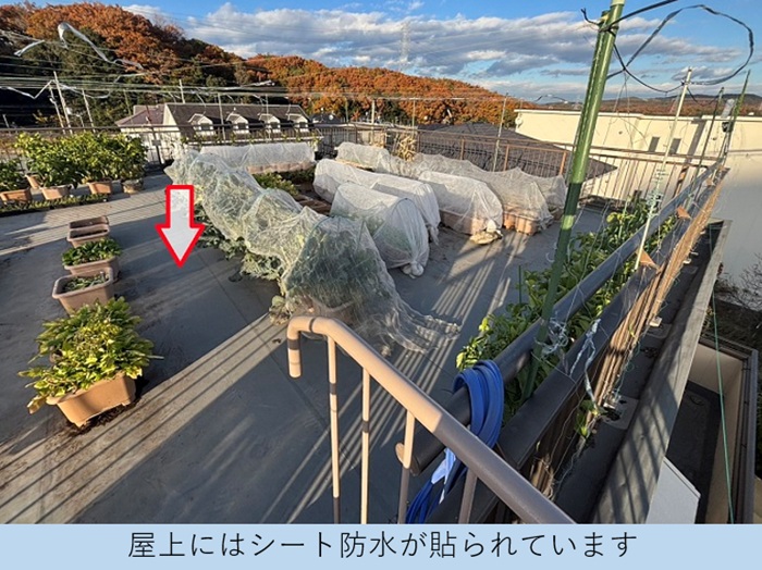 陸屋根に貼られた塩ビシート
