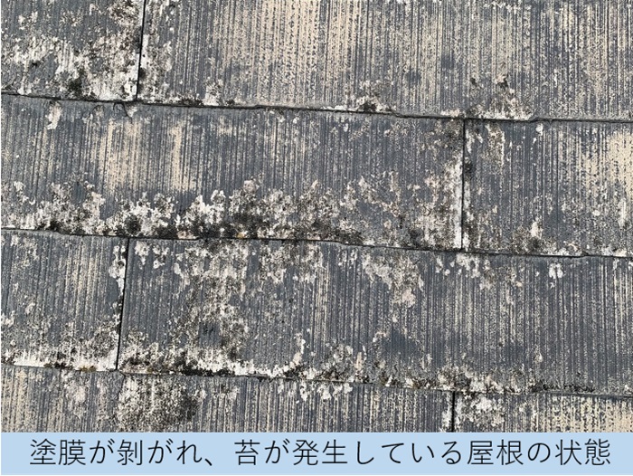 スレート屋根は塗膜が剥がれ苔が発生している様子