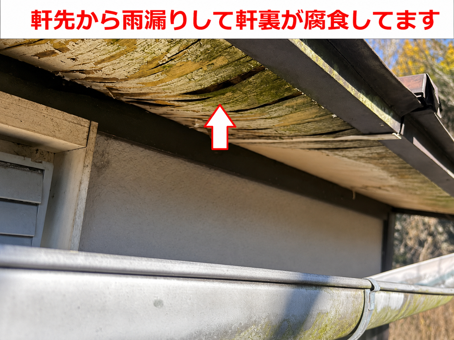 軒下が腐食している様子