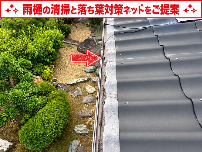 雨樋の様子