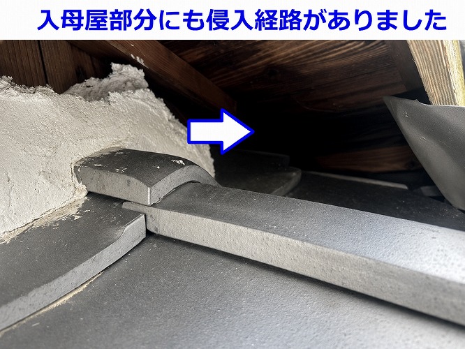 猫の侵入経路