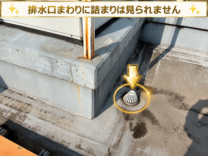 工場屋上の排水ドレン