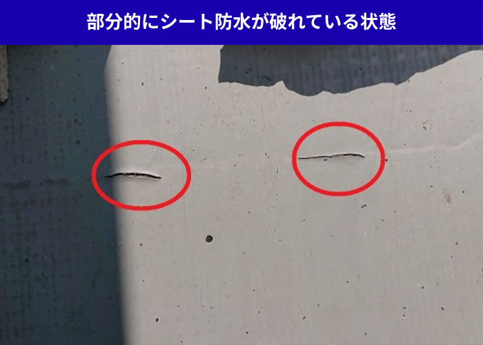 加西市　部分的にシート防水が破れている状態