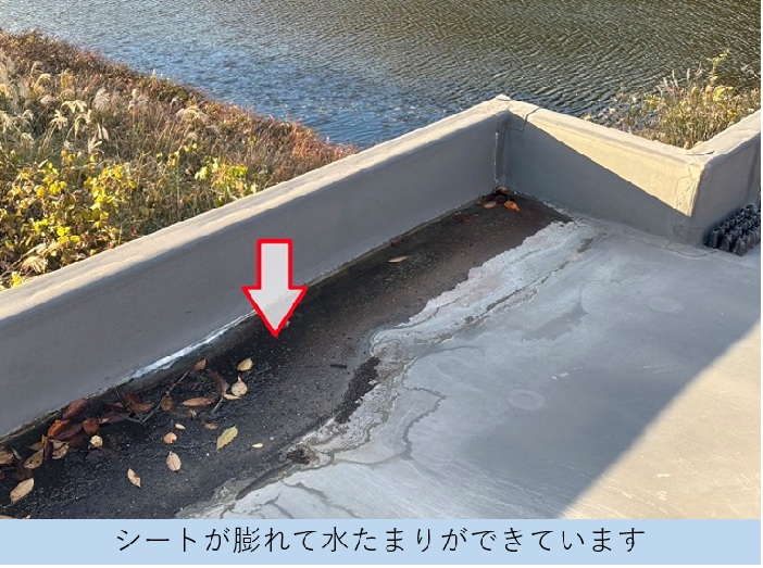 シート防水に水たまり