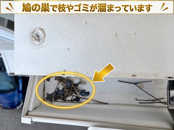鳩が運んできた枝