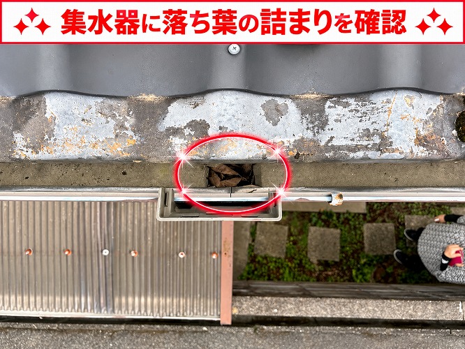 集水器内部の落ち葉の詰まり