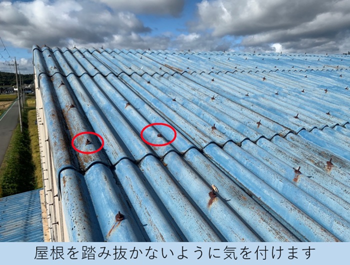 大波スレートを固定しているフックボルト