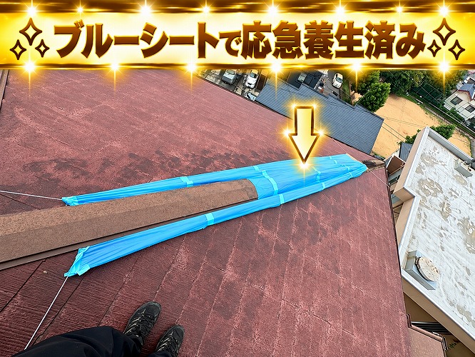 ブルーシートを被せている様子