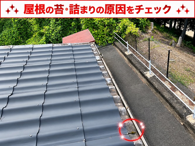 屋根に発生する苔