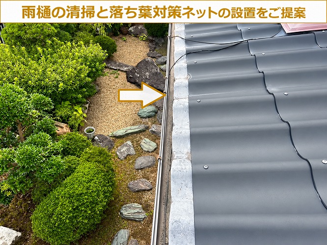 雨樋の様子