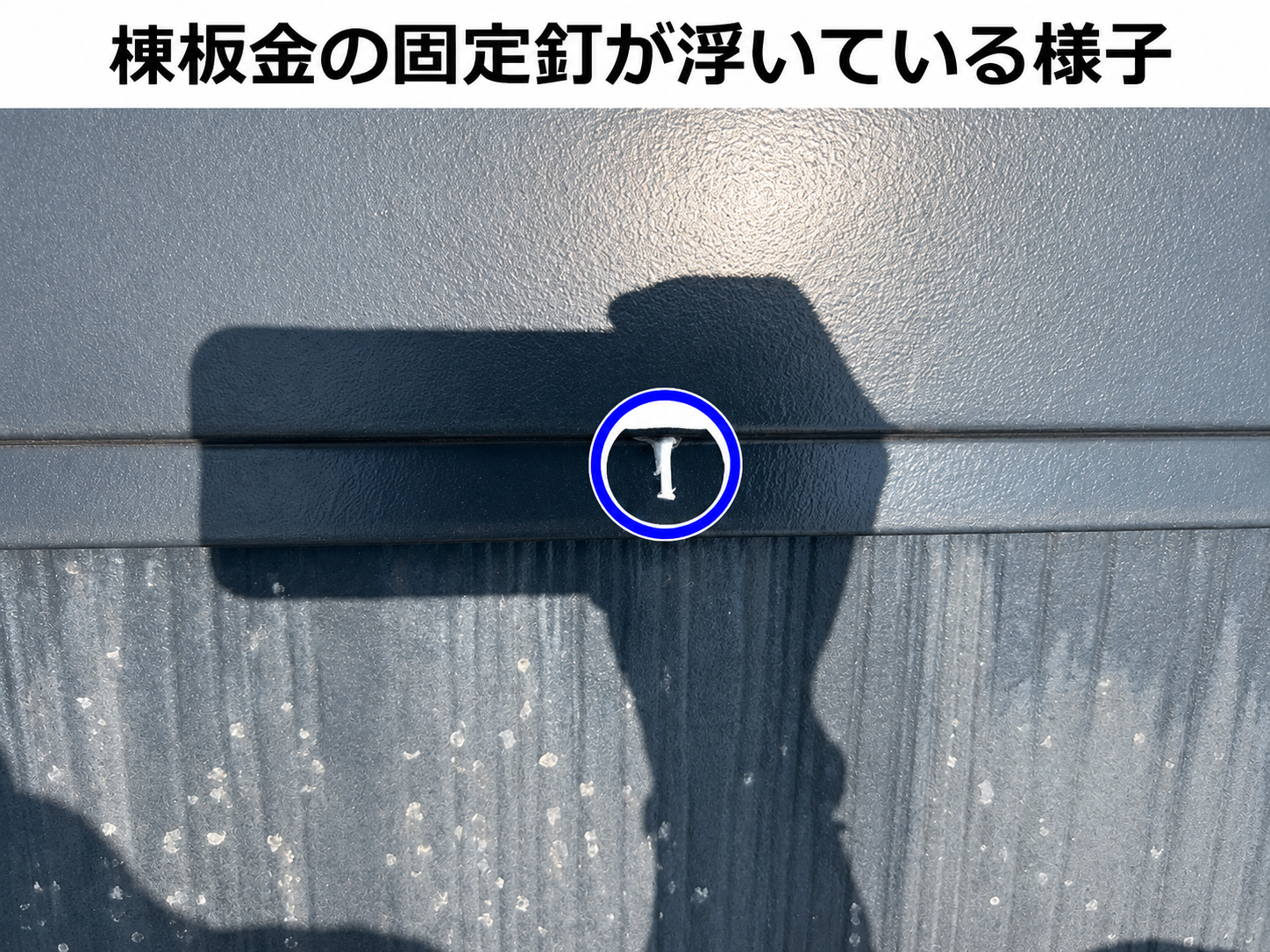 棟板金の固定釘が浮いている様子