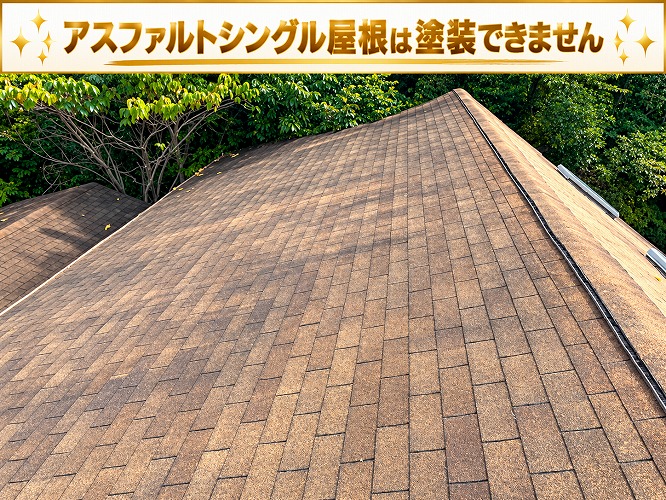 多可町で天窓付きのアスファルトシングル屋根のリフォーム相談を頂いた現場で色褪せている様子