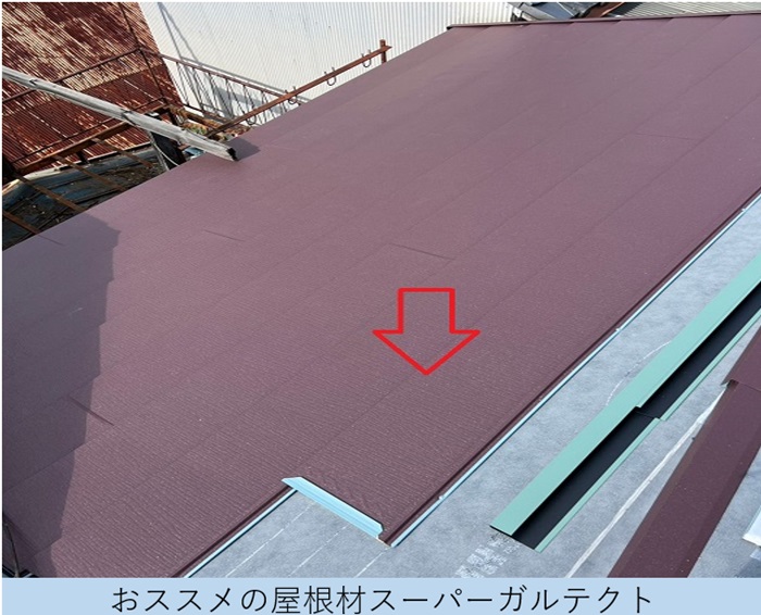 スーパーガルテクト
