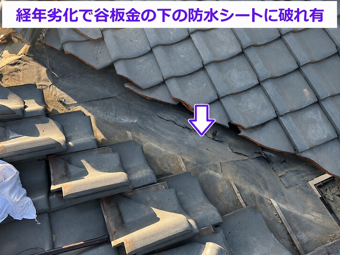 瓦屋根の谷板金修理で防水シートに破れ有