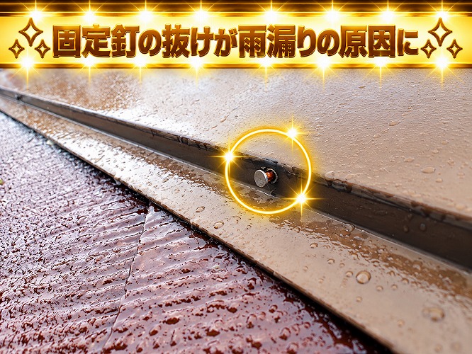 固定釘の抜け