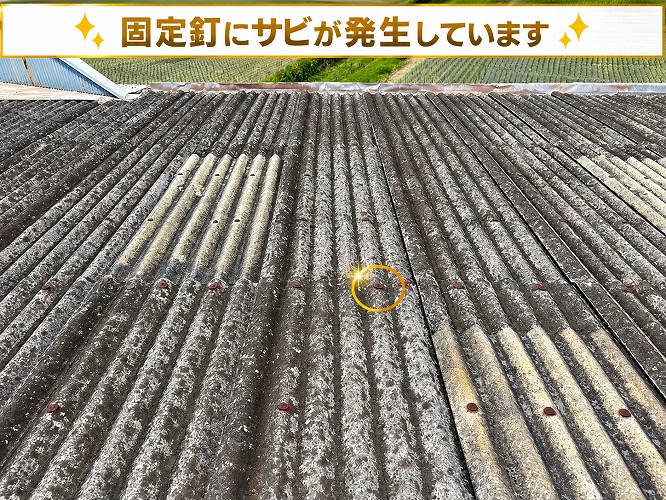 固定釘が錆びている様子