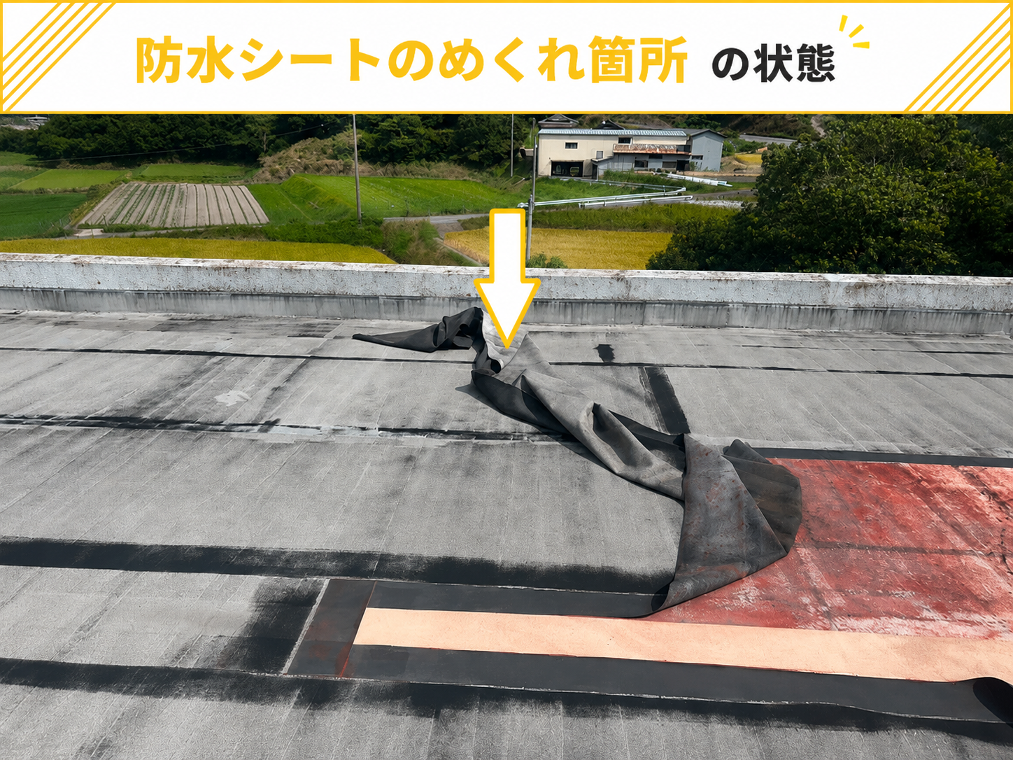 シート防水がめくれている様子