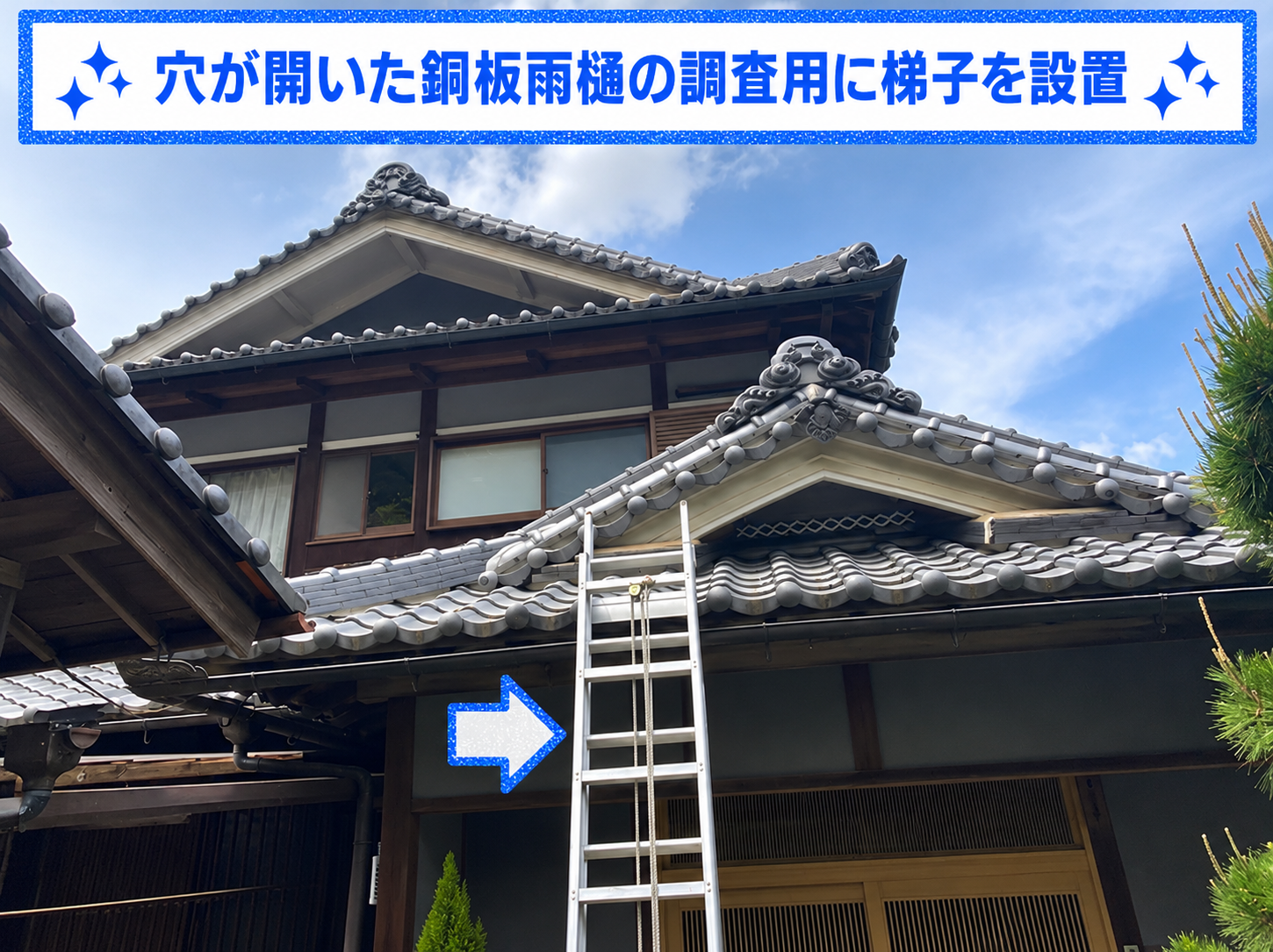 穴の開いた銅板雨樋を点検するために梯子を掛けた様子