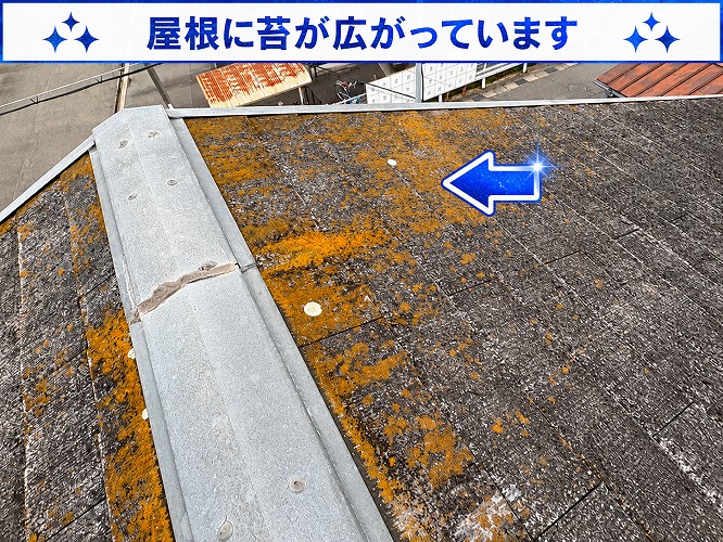 スレート屋根の苔
