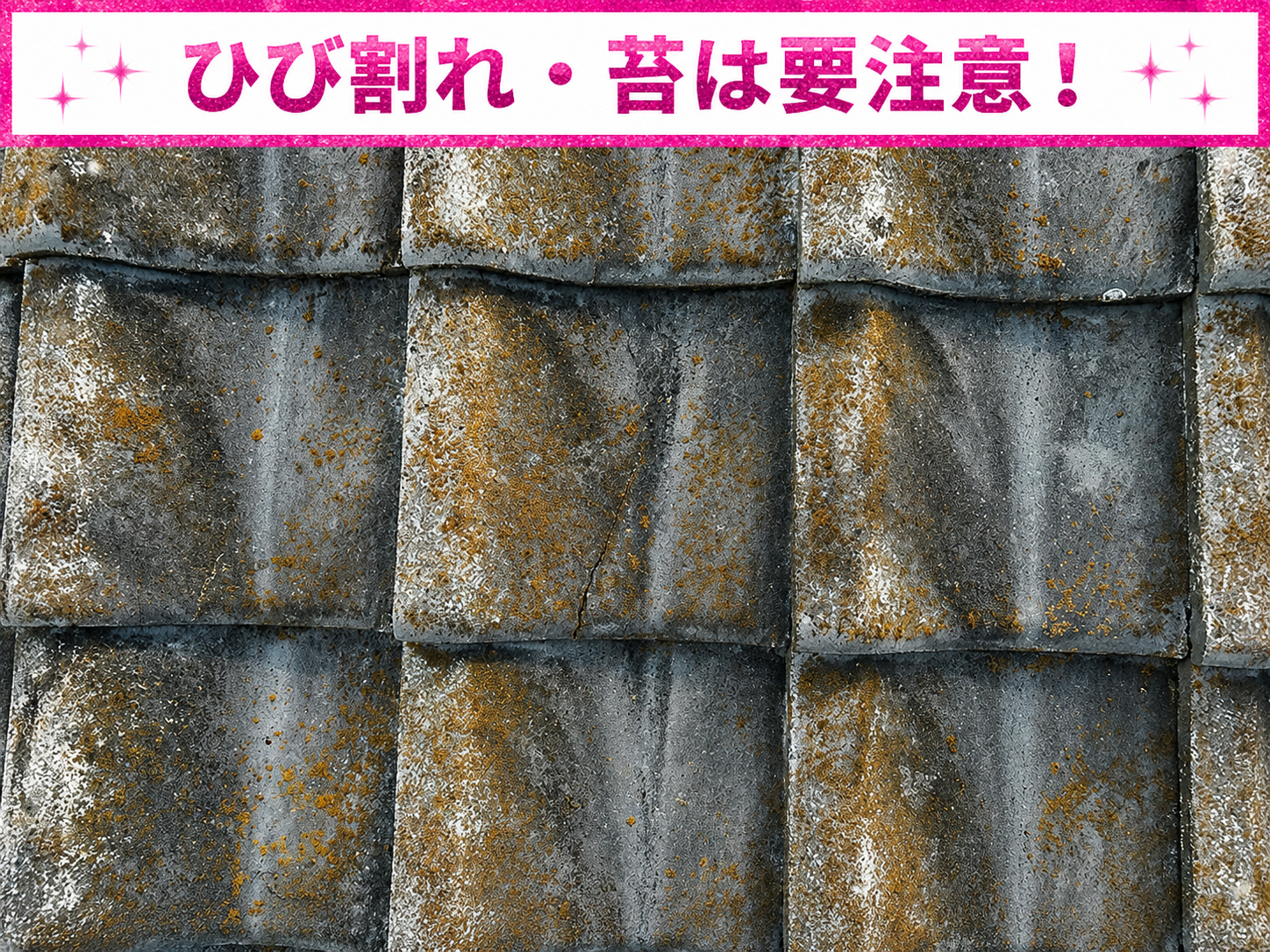 セメント瓦屋根の苔の放置は危険