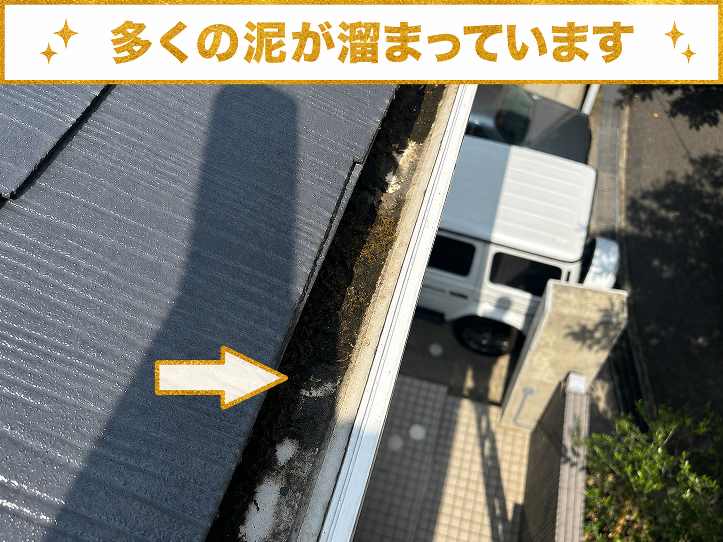泥が多く溜まっている様子