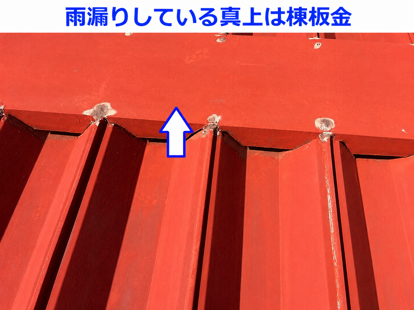 テキストの色を青色に変えて背景は白色で　矢印の色は赤色から青色に変えて内側は白