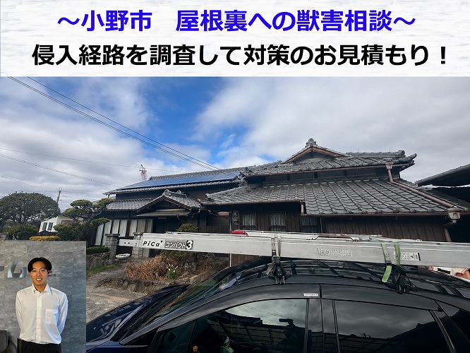 小野市★屋根裏に害獣が侵入！？侵入経路を徹底調査して対策します！！