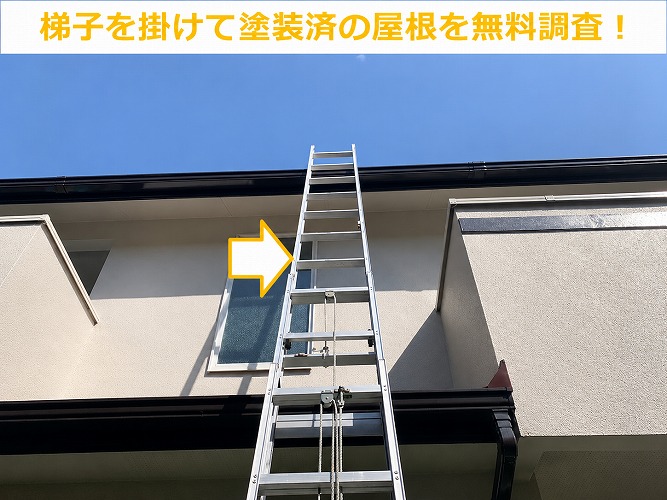 梯子を掛けて塗装済の屋根を調査する様子