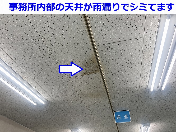 雨漏りで天井がしみている様子