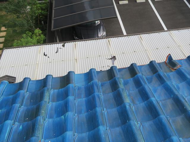 茨木市の瓦屋根では地震の影響で棟瓦が滑り落ちたことでベランダ屋根の波板も割れてしまった
