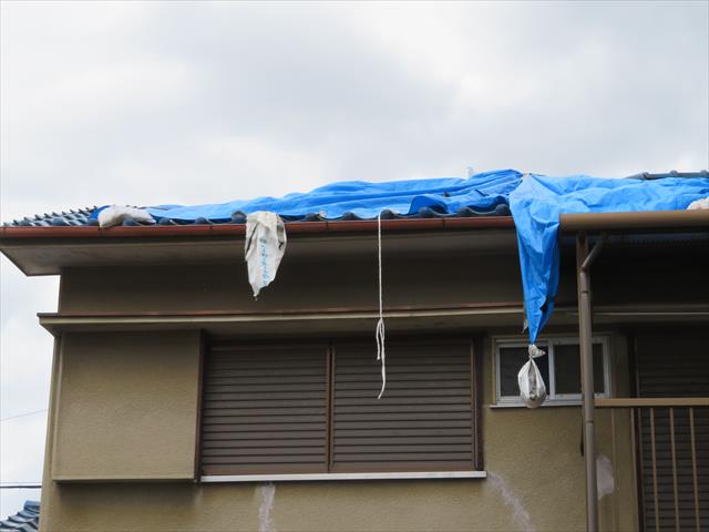 茨木市で地震の被害に遭ったお宅の屋根をブルーシートで雨漏り養生していたところへ台風２１号が通過したことで、無残にも土嚢袋は落ち、ハトメがちぎれて剥がされた。