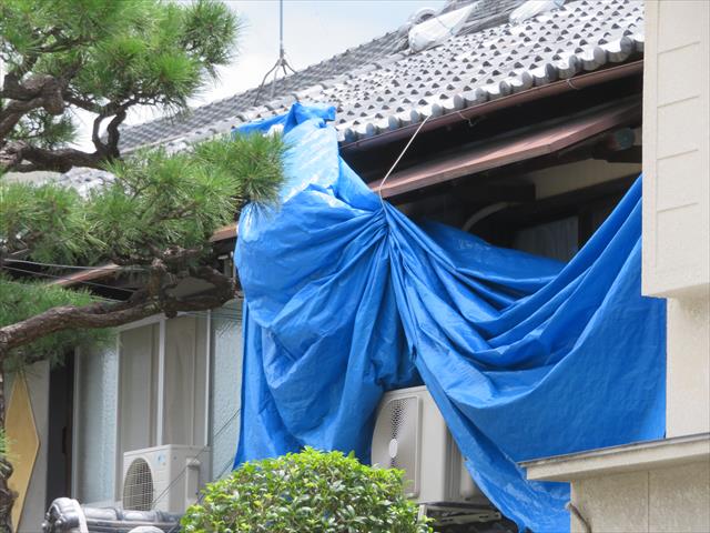 茨木市、高槻市で屋根に架けられたブルーシートは台風１２号で多くが剥がされた