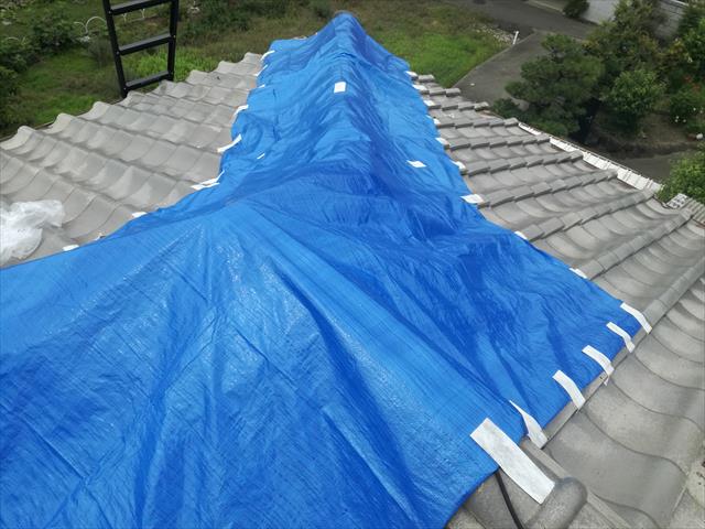 寄棟屋根はその形状から、ブルーシートが密着するように架けることが難しい屋根です。なるべく風が入る箇所を減らすために、粘着テープでシートの端部を押さえて行きます。