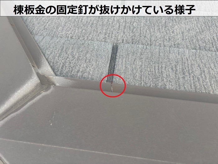 三木市　棟板金の固定釘が抜けかけている様子
