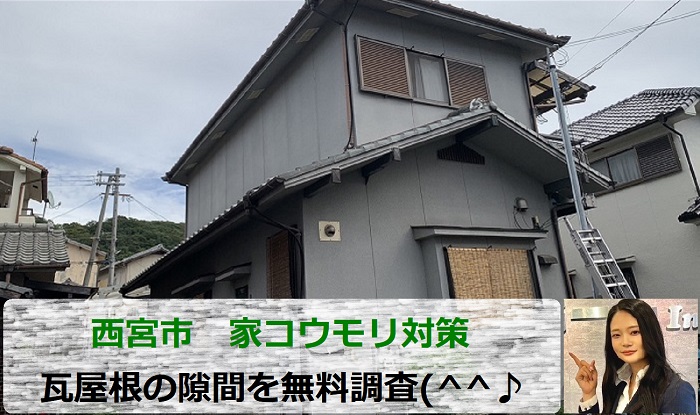 西宮市で家コウモリ対策の無料調査を行う現場紹介