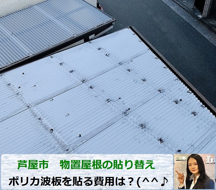 芦屋市で物置屋根のポリカ波板を交換する現場の様子