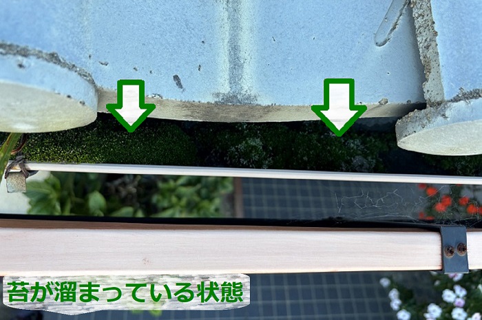 雨樋の中に苔が溜まっている状態